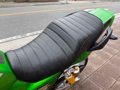 Kawasaki ZRX1200 Daeg 2013