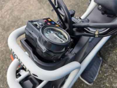 Honda PS250 Big Ruckus
