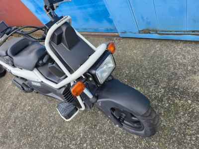 Honda PS250 Big Ruckus