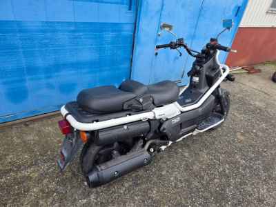 Honda PS250 Big Ruckus