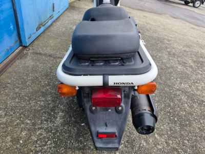 Honda PS250 Big Ruckus