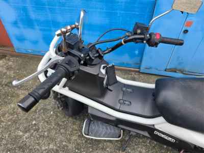 Honda PS250 Big Ruckus