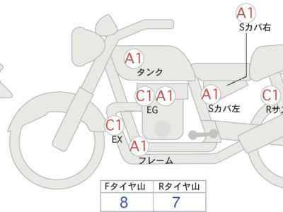 Kawasaki W800 2019