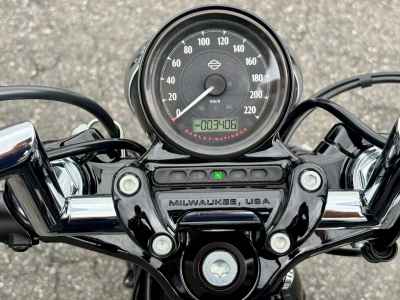 Harley-Davidson Sportster XL1200L 2022