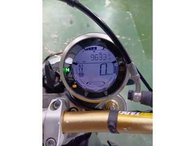 Ducati Scrambler Desert Sled 2021