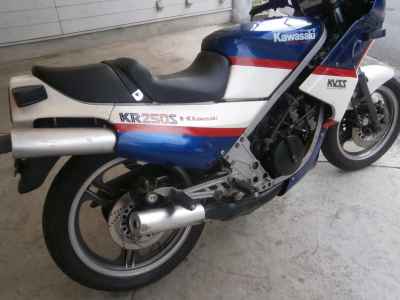 Kawasaki KR250S