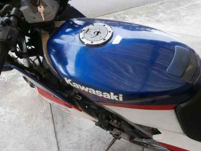 Kawasaki KR250S