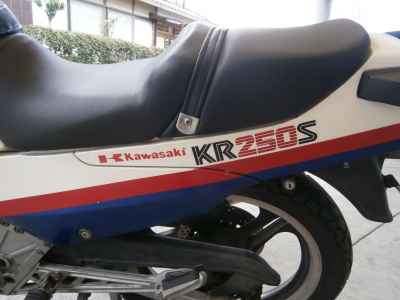 Kawasaki KR250S