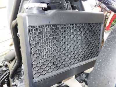 Honda Rebel CMX250 2023