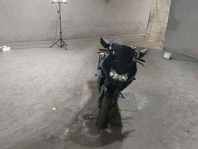 Kawasaki Ninja 250R