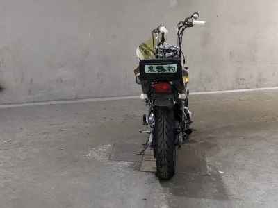 Kawasaki Balius ZR250