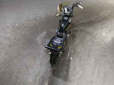 Kawasaki Balius ZR250