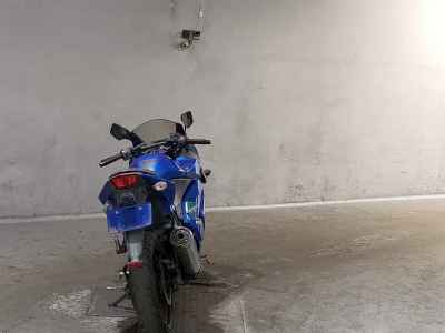 Kawasaki Ninja 250R