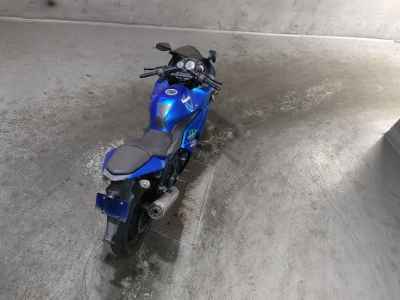 Kawasaki Ninja 250R