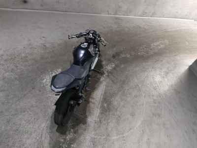 Kawasaki Ninja 250R