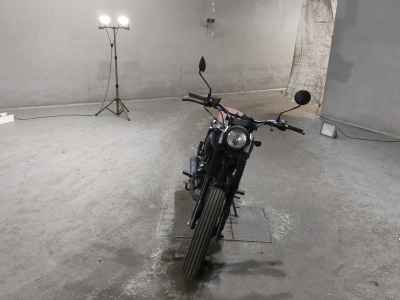 Mutt Mongrel 250 2021