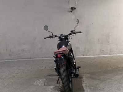 Mutt Mongrel 250 2021