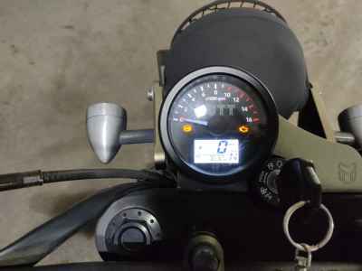 Mutt Mongrel 250 2021