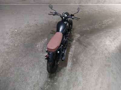 Mutt Mongrel 250 2021