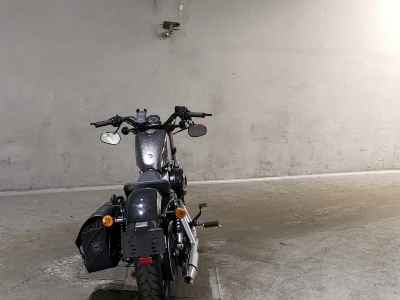 Harley-Davidson Sportster Forty-Eight XL1200X 2014