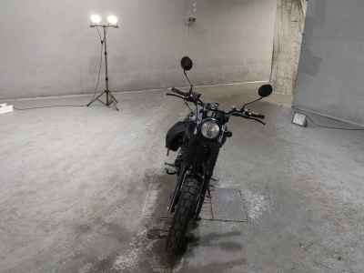 Mutt FSR250 2022