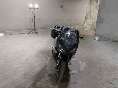 Kawasaki Ninja 1000 2019