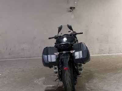 Kawasaki Ninja 1000 2019