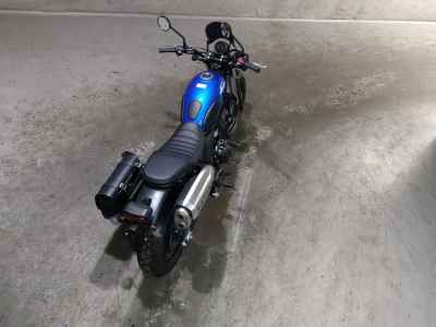 Honda CL500 2023