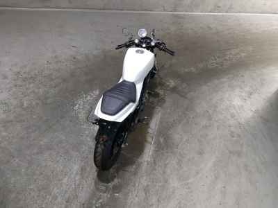 Harley-Davidson X350 2024