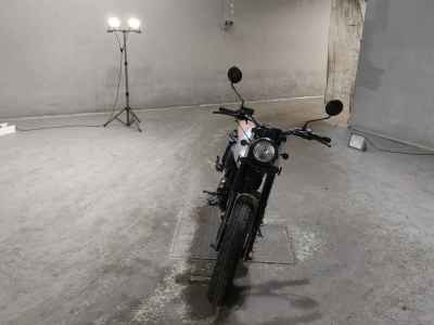 Mutt Akita 250 2020