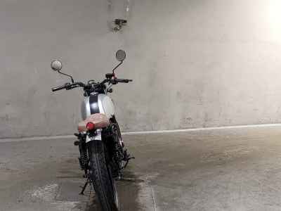 Mutt Akita 250 2020