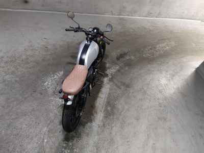 Mutt Akita 250 2020