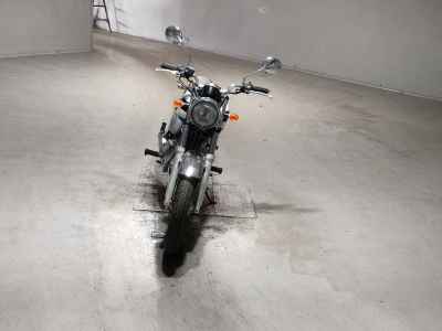 Kawasaki Estrella RS