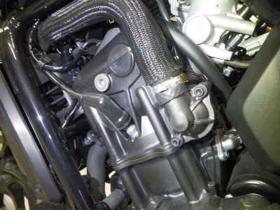 Honda Rebel CMX1100 2024