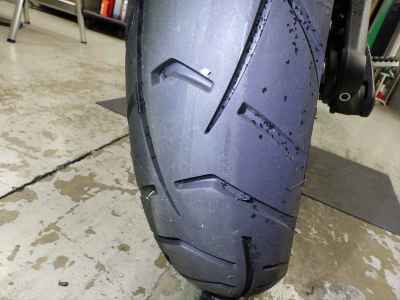 Triumph Tiger 1200 GT Pro 2024
