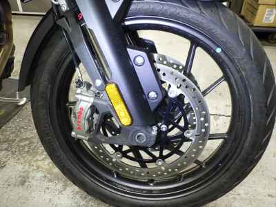 Triumph Tiger 1200 GT Pro 2024