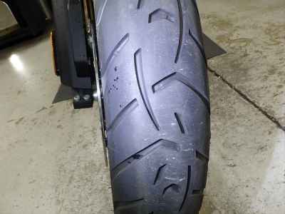 Triumph Tiger 1200 GT Pro 2024