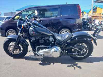 Harley-Davidson Slim FLSL1750 2018