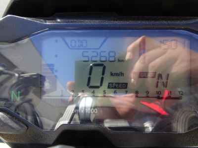 BMW G310R 2024