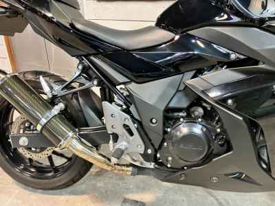 Suzuki GSX250R
