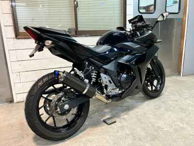 Suzuki GSX250R