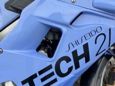 Yamaha FZR250