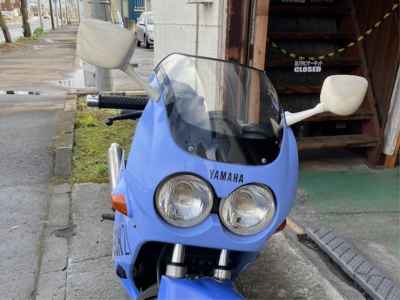 Yamaha FZR250