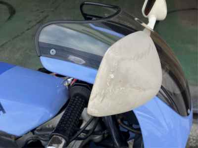 Yamaha FZR250