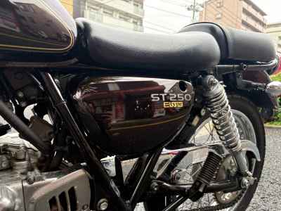 Suzuki ST250E