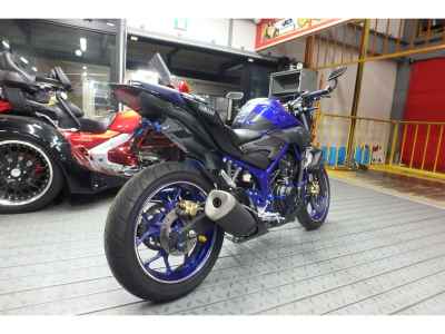 Yamaha MT-25 2017