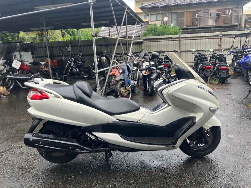 Yamaha Majesty 250