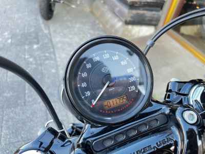 Harley-Davidson Sportster Forty-Eight XL1200XS 2018