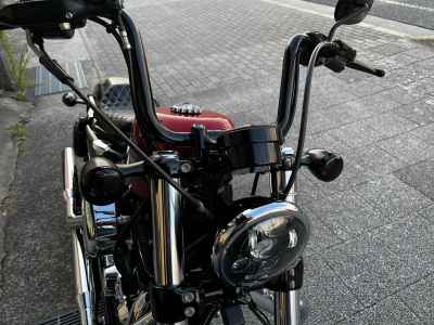 Harley-Davidson Sportster Forty-Eight XL1200XS 2018