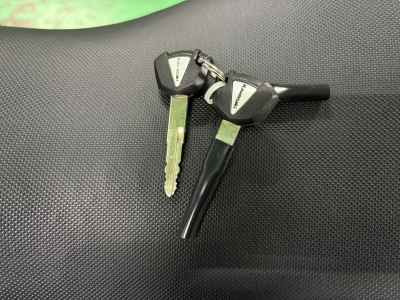 Kawasaki Ninja 1000 2017